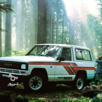 پاترول دو درب خریدارم|خودرو سواری و وانت|تهران, فاطمی|دیوار