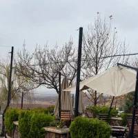 جذب نیرو در بخش خدمات