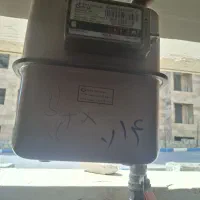 هم-خونه