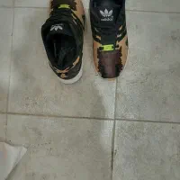 کفش آدیداسzx