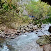 کلبه چوبی امیر دربست|اجارهٔ کوتاهمدت ویلا و باغ|اسالم, |دیوار