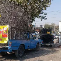 کارخانه تولیدی محافظ دیوار حفاظ رودیواری(شاخ گوزنی