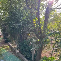زمین-1000-متری-شهرک-طاووسیه-کردان-برغان