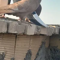 سلام کبوتر شرت دور بیا دورش میدم بعد ببر|پرنده|اهواز, زیتون کارگری|دیوار