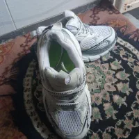 کفش اسپورت