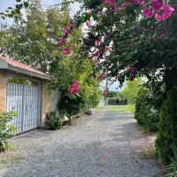 ویلایی-که-حیاطش-بهشته