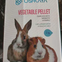 خرگوش|موش و خرگوش|تهران, کرمان|دیوار