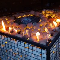 گابیون گازی و هیزمی|خدمات پیشه و مهارت|کرمان, |دیوار