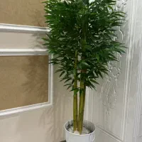 درختچه مصنوعی بامبو ارتفاع ۱۵۰ سانتی متر|گل مصنوعی|مشهد, شهرک لشکر (شهرک غرب)|دیوار
