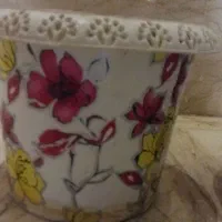 گلدون پلاستیکی گلدار|گل و گیاه طبیعی|قم, انسجام|دیوار