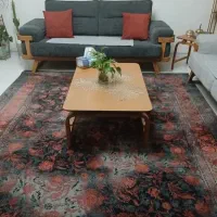 نیازمند همخونه همخانه