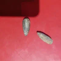 فروش یک جفت سنگ قدیمی قدمت دار