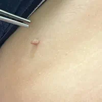 جلسه اول رایگان به مناسبت سالگرد افتتاحیه