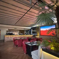 باریستا بارتندر