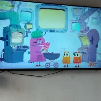 تلویزیون۵۵|تلویزیون و پروژکتور|روانسر, |دیوار