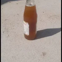 عسل وحشی