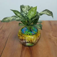 استخدام بازاریاب تلفنی خانم (حضوری)