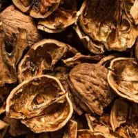 فروش تناژ پوست خشک بادم درختی..گردو..|عمدهفروشی|دامغان, |دیوار