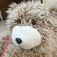 عروسک خرسی بزرگ خزدار