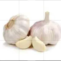 فروش سیر با کیفیت،