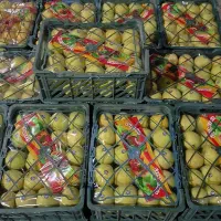 فروش سیب لوکس درجه یک صادراتی