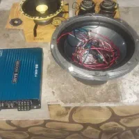 سیستم صورتی