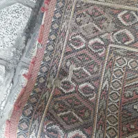 قالیچه دستباف|فرش|مشهد, مشکینی (شهرک غرب)|دیوار
