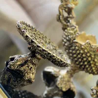 سرویس|ظروف سرو و پذیرایی|لاهیجان, بازکیاگوراب|دیوار