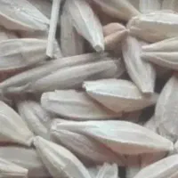 جو دیمی گونی گرفته درجه یک