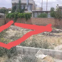 زمین تفکیک شده شهرداری در نوشین شهر بمساحت ۲۴۷.۵|فروش زمین و ملک کلنگی|نوشین شهر, |دیوار