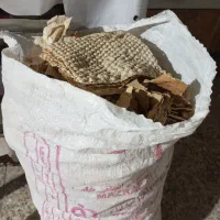گونی نون خشک