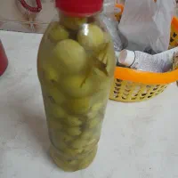 تزشی سپستون تازه داراب