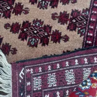 قالیچه دستباف|فرش|بندر ترکمن, |دیوار