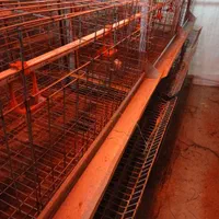 فروش قفس ایستاده مرغتخمذار|لوازم جانبی حیوانات|فراغی, |دیوار