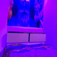 اجاره سوییت پارت تایم