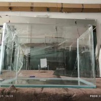 آکواریوم شرکتی نانو