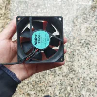 فن کیس