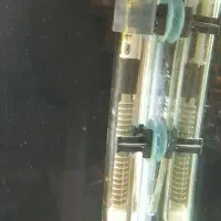 ماهی پرت پلار با لوازم اکواریوم|ماهی|مشهد, مهدی آباد (بلوار توس)|دیوار