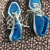 کفش کشتی|کیف، کفش، کمربند|اردبیل, |دیوار