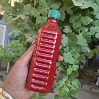 رب فلفلی سیری|خوردنی و آشامیدنی|شیراز, ابیوردی|دیوار