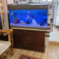 آکواریوم دربدار ماهیران