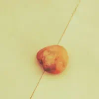 14000000|جواهرات|تهران, یافتآباد|دیوار