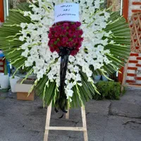 گلفروشی پاراگل|گل و گیاه طبیعی|اهواز, پادادشهر|دیوار