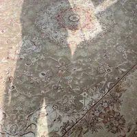 فرش نگین مشهد ۹ متری و ۶ متری