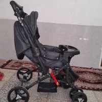 کالسکه دلیجان مدل بنیتا