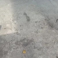 زمین-مسکونی