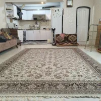 وحید 18 هفتاد متری