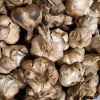 سیر سیاه فله