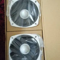 یک جفت باند میدرنج SAVOY