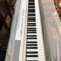 پیانو سری p225 125 145 یاماها قیمت همکاری|پیانو، کیبورد، آکاردئون|کرج, عظیمیه|دیوار